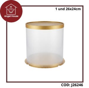 Caja PVC 26x24cm