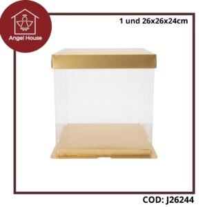 Caja PVC 26x26x24cm