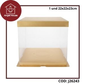 Caja PVC 22X22X23cm